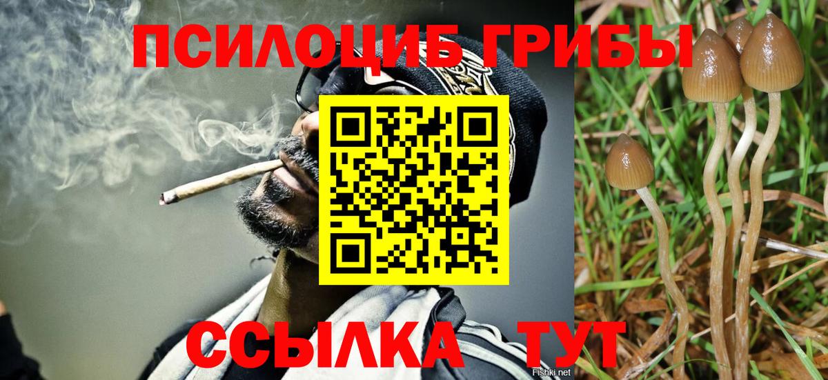 Псилоцибиновые грибы MAGIC MUSHROOMS Зима