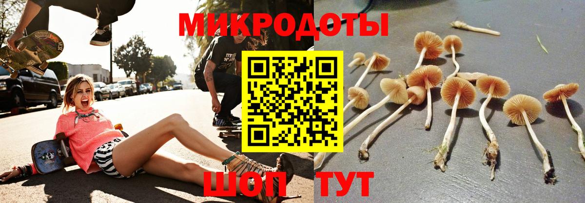Зима  Псилоцибиновые грибы мухоморы  Галлюциногенные грибы GOLDEN TEACHER  Вход с VPN 