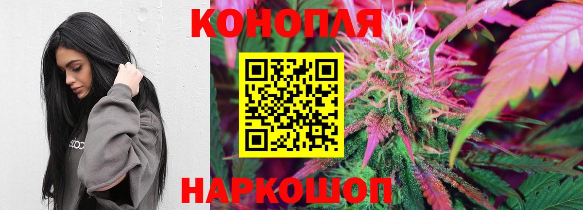 Шишки марихуана сатива  Каннабис конопля  Конопля AK-47  Зима  Вход с VPN  Бошки Шишки MAZAR 